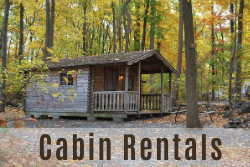Cabin Rentals